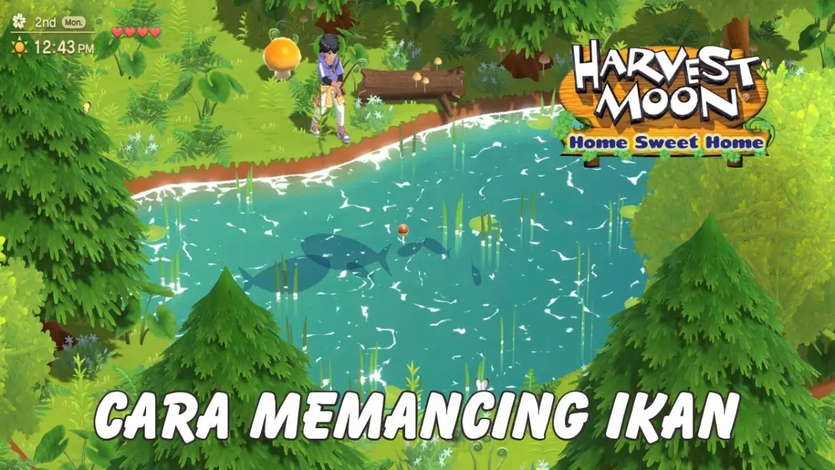 Tips Mancing dan Posisi Palm Lumber di Harvest Moon: Home Sweet Home