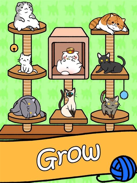 Cat Condo Review – Cocok Demi Pecinta Kucing Disaat Jenuh