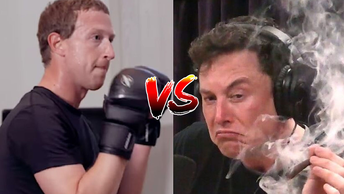 Elon Musk vs Mark Zuckerberg sedang Heboh Diperbincangkan Netizen